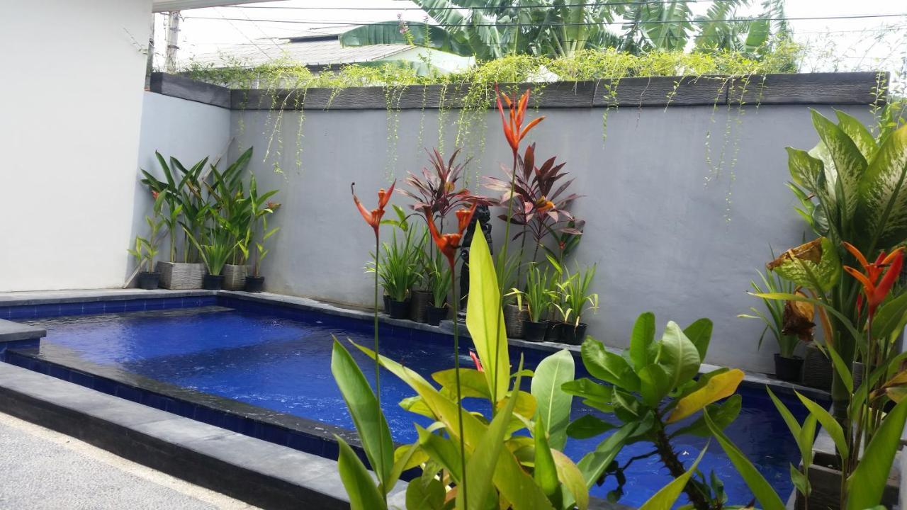 The Kamare Guest House (Bali) - Deals, Photos & Reviews